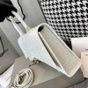 Balenciaga Handbag