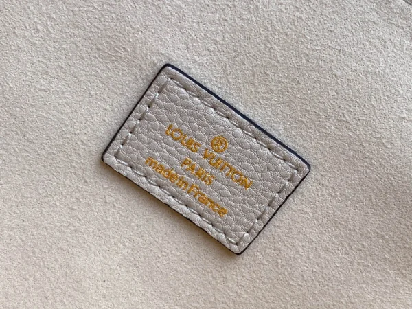 Louis Vuitton size: 25x19x7cm