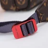 Louis Vuitton Model: 43843 Size: 25x18x5cm