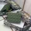Caro Collection Chain Clutch Size:19x14x3cm