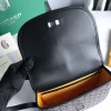 Belvdre Single Strip Messenger Bag Model: GY020198 Size: 21*16cm