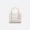 Dior Lady size: 17cm*15cm*7 cm