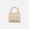Dior Lady size 17cm*15cm*7cm